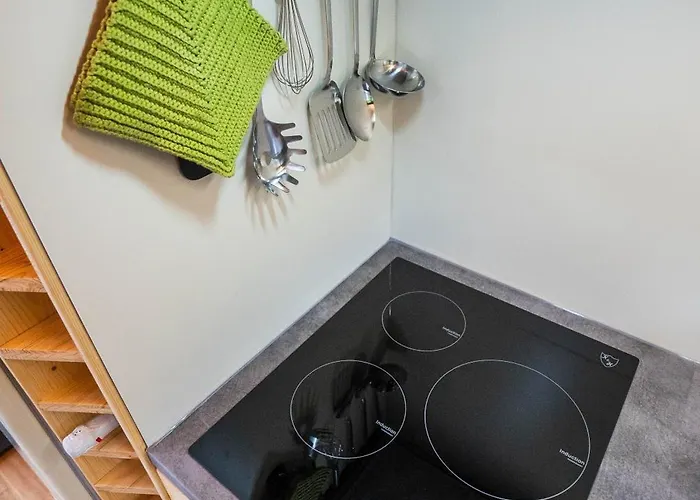 Taunus Tinyhouse Сasa de vacaciones